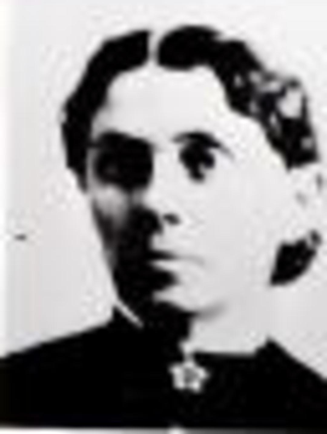 Marian Whipple (1845 - 1901) Profile
